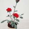 Pot Tendresse Éternelle