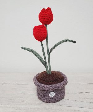 Florify Pot Hapiness Tulips